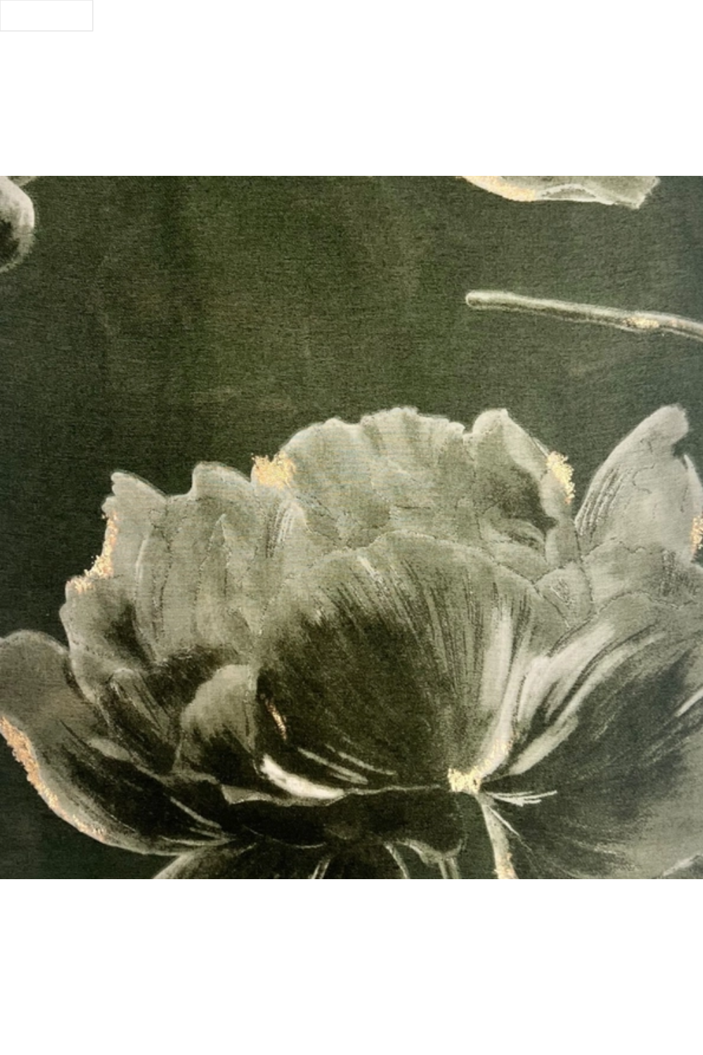 Close-up of a flower with a dark green background