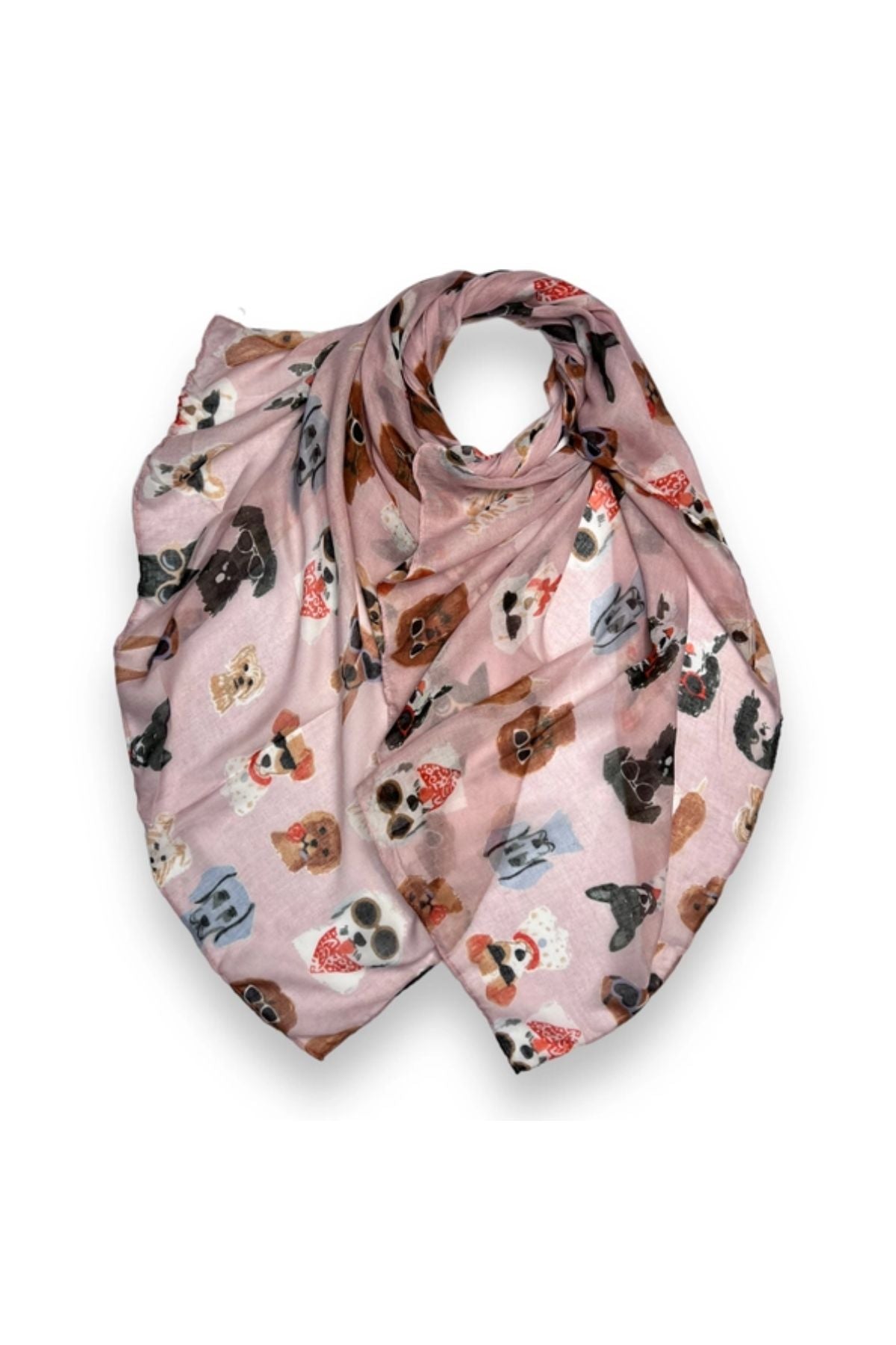 Baby pink dog with sunglasses scarf