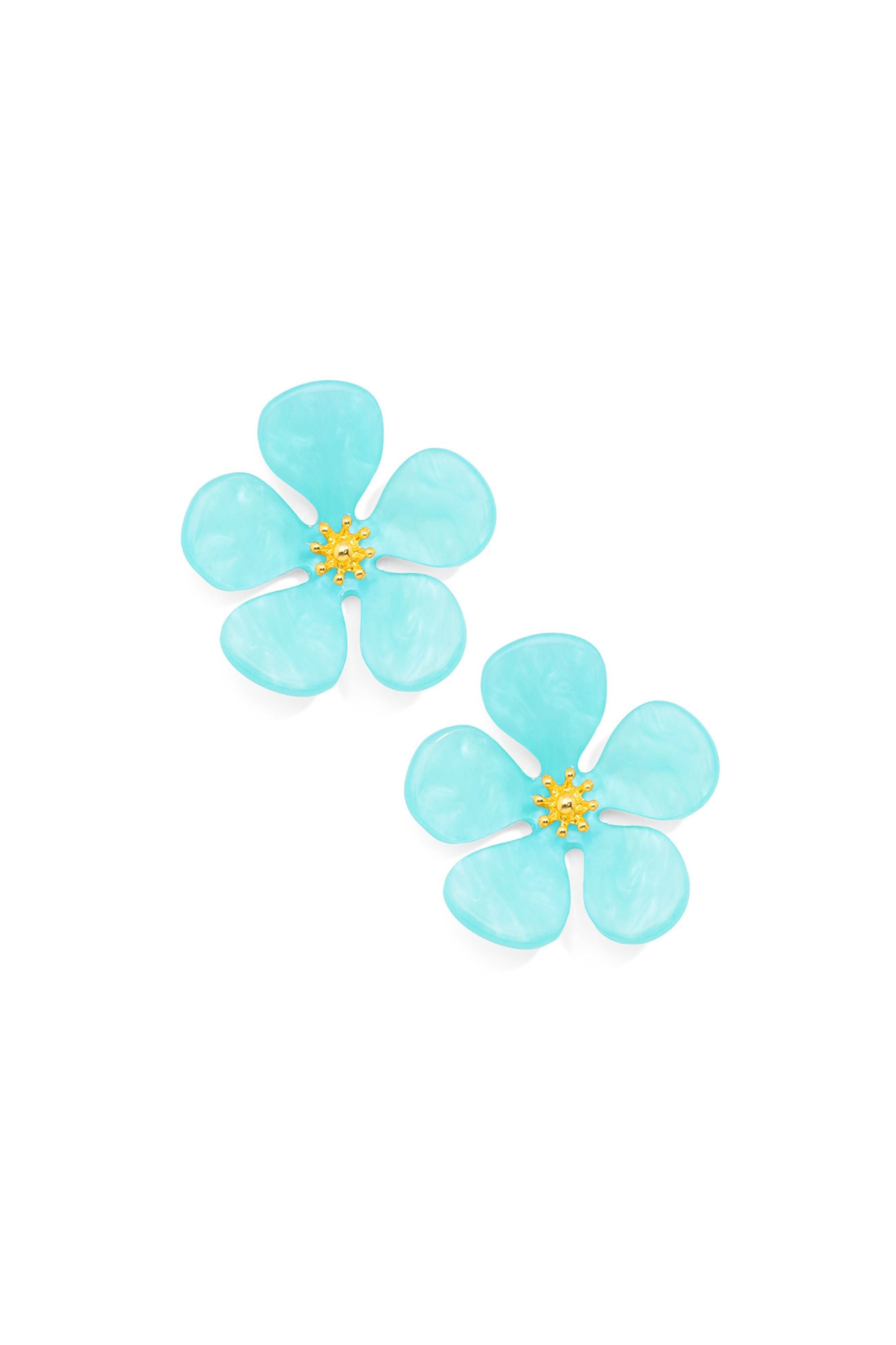 Turqupise earrings