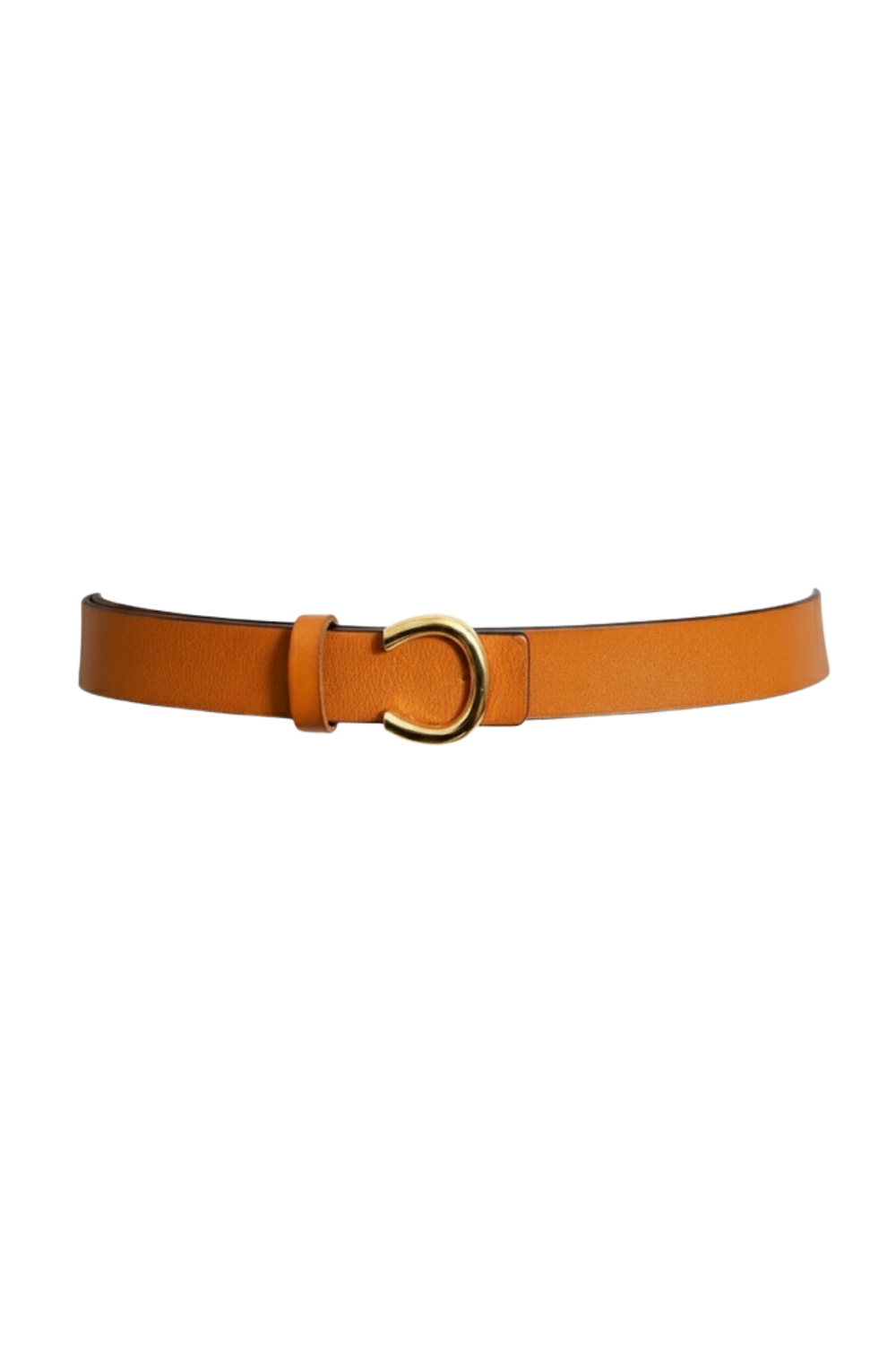Minimalist Horseshoe Belt