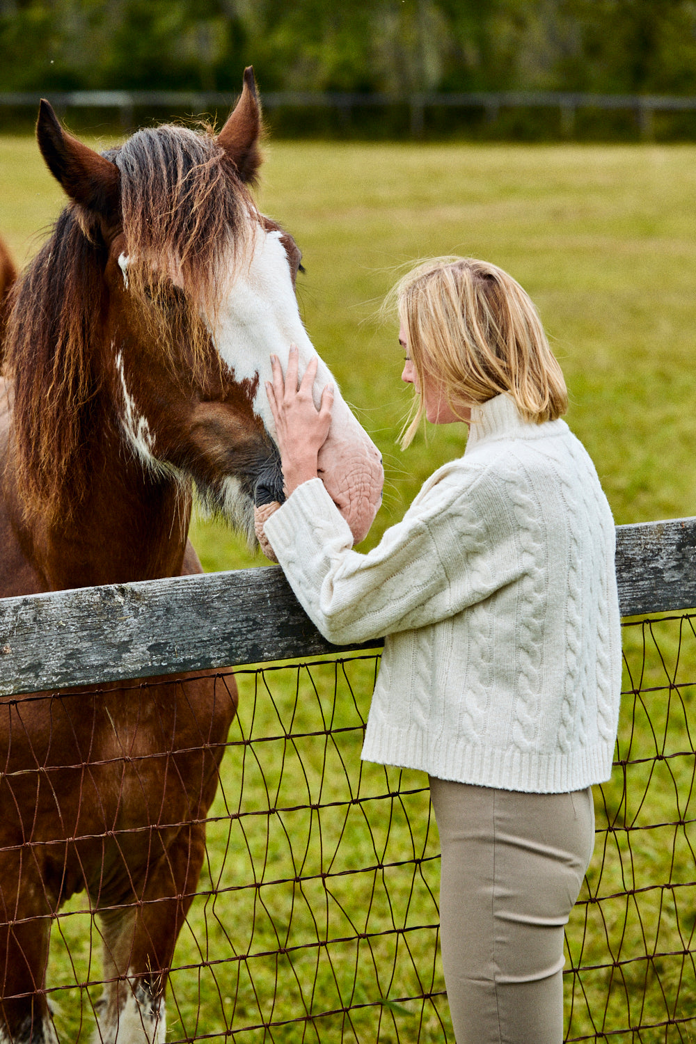 Woman petting a horse through a wooden fence in an outdoor setting
