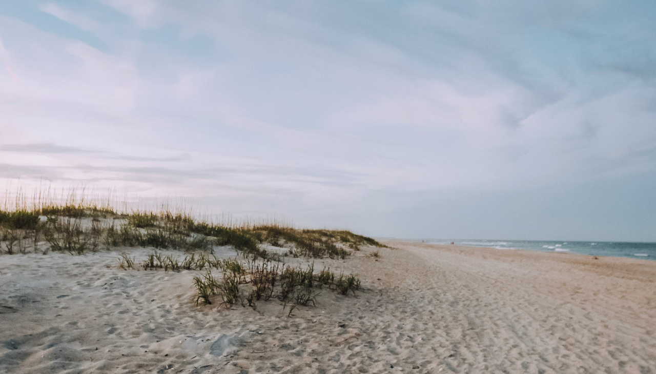 IMAGE OF BEACH