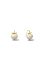 Pair of pearl earrings with gold hooks on a white background