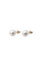 Pair of pearl earrings with rose gold posts on a white background