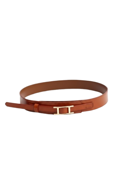 Brown belt with a gold buckle on a white background
