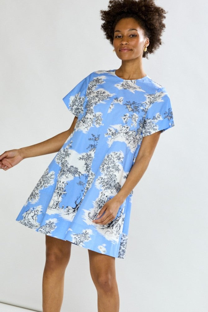 Woman in blue toile short dress