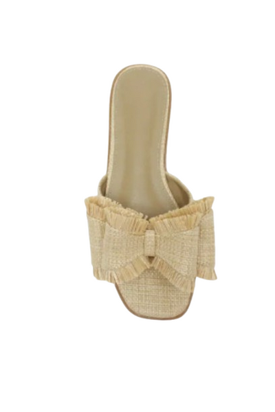 e87caa0c425-244-removebg-